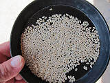1.8mmの網で選別した玄米（製品）